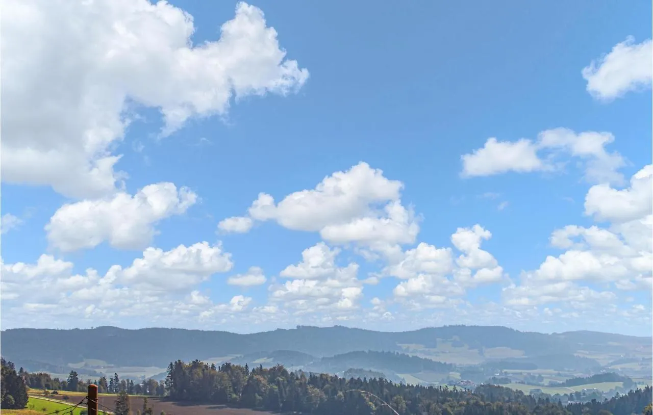 Blumenwiesenweg 17 Untergriesbach Holiday home